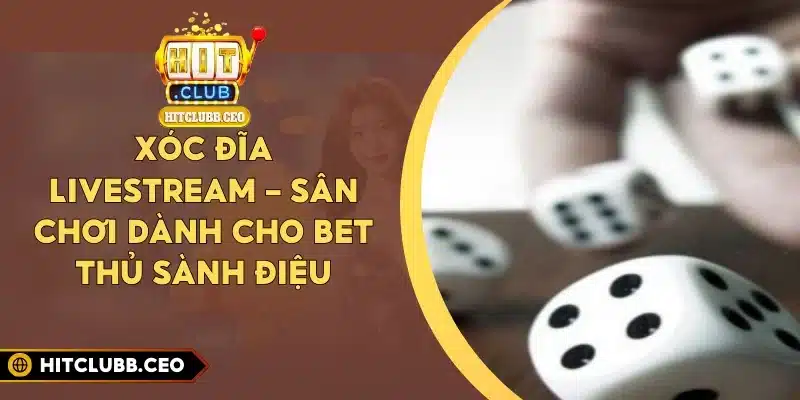 Xóc Đĩa Livestream – Sân Chơi Dành Cho Bet Thủ Sành Điệu